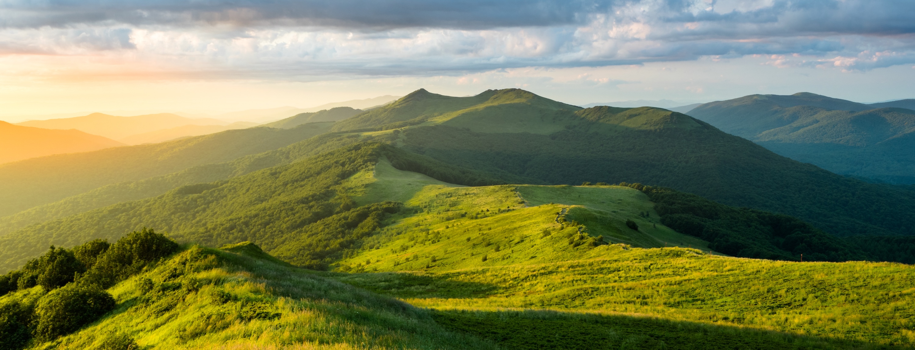 Achtsamkeit bedeutet, das Leben wertzuschätzen – in der Natur, die uns umgibt, und in uns selbst.