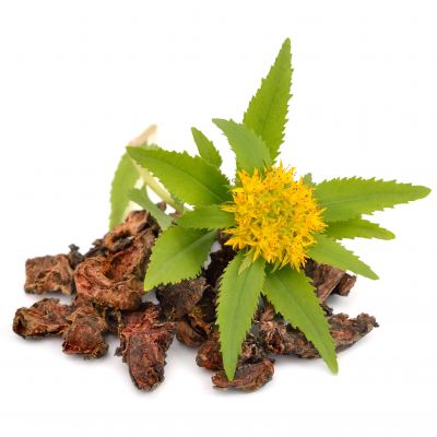 Rhodiola rosea – cápsulas