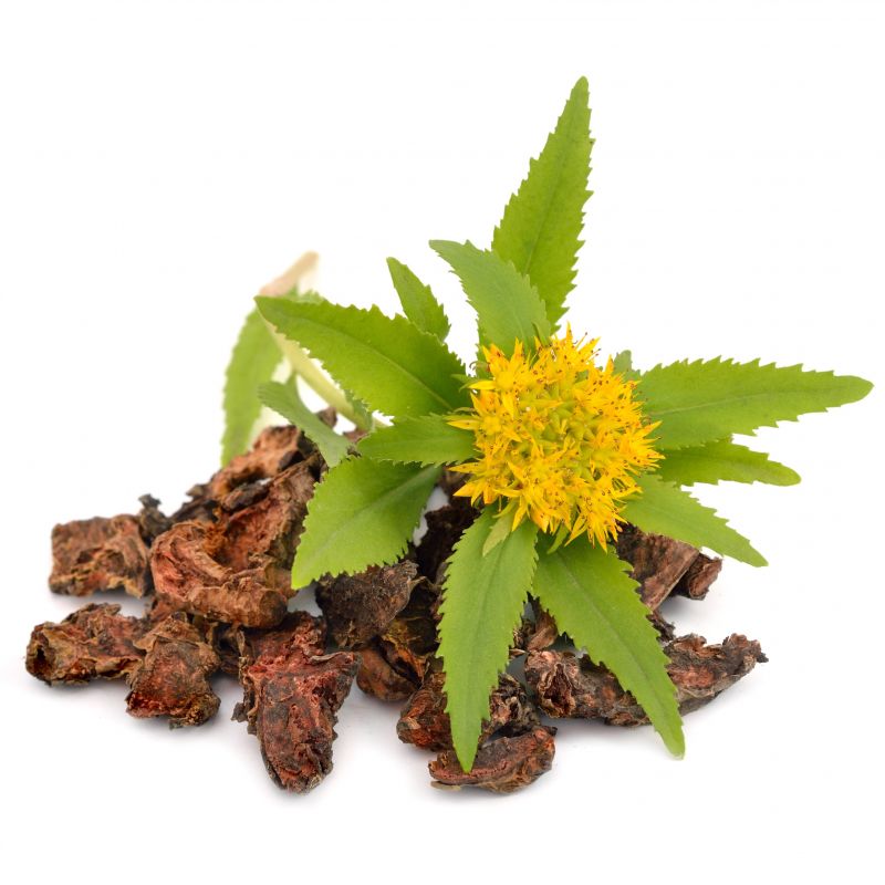 Rhodiola rosea – cápsulas